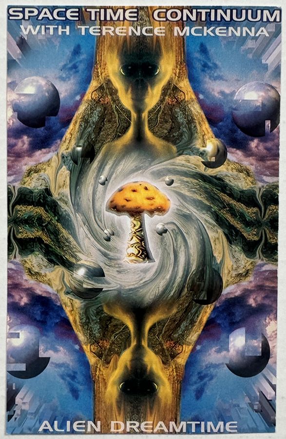 Alien Dreamtime — Space Time Continuum with Terence McKenna — flyer, October 29, 1993, New York, NY