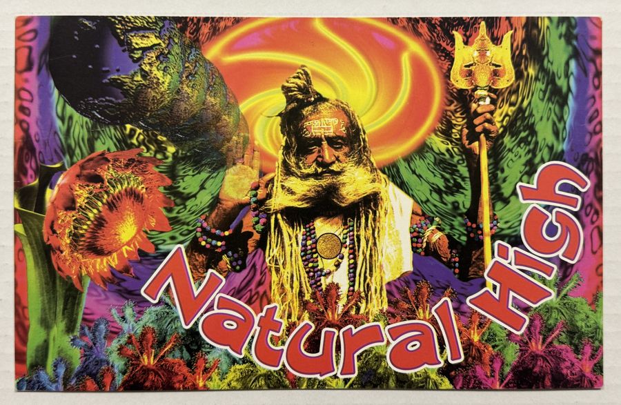 Natural High — flyer, June 11, 1993, Long Island, NY